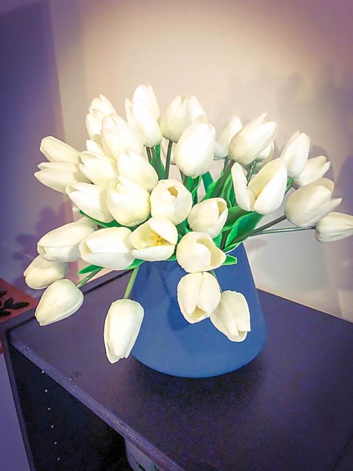 Glenview Retreat Luxury Accommodation