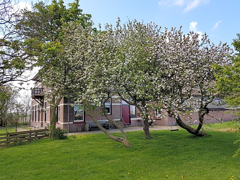 Hunsingo Texel
