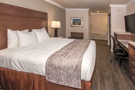 Accessibility - 1 King Bed, Roll-in Shower, Nonsmoking