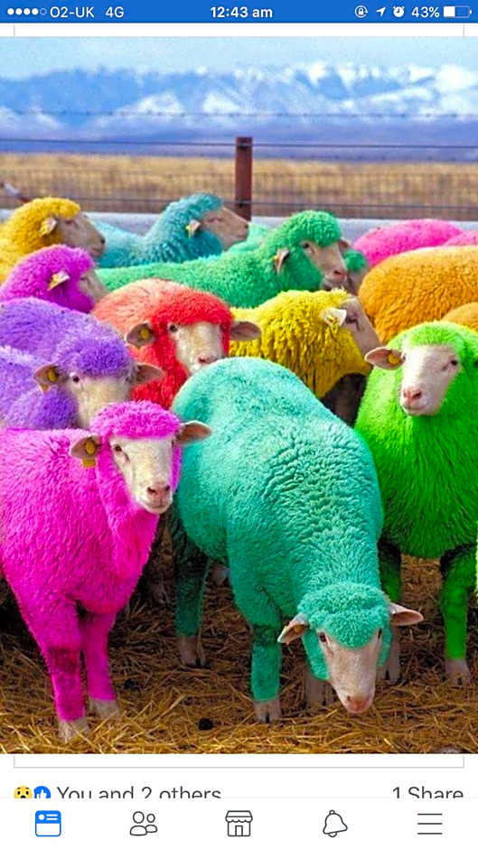 Highfield Guesthouse