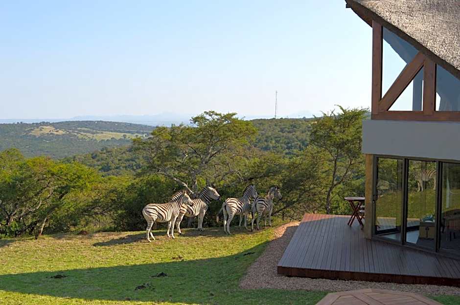 JBay Zebra Lodge