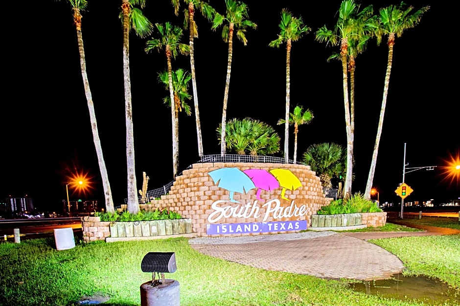 Seagull's Landing By The Ocean