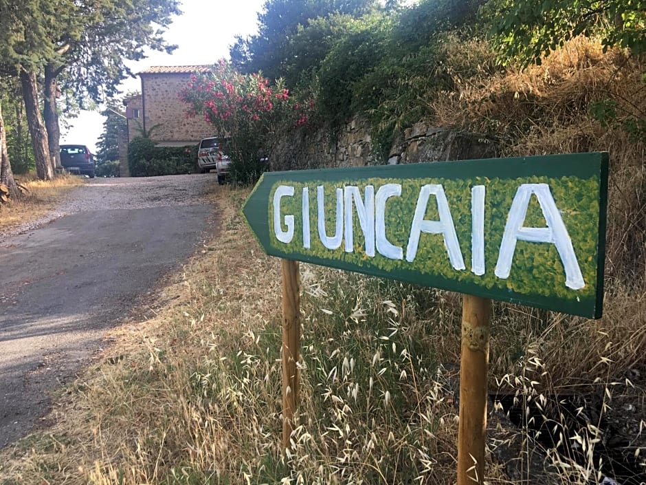 B&B Giuncaia17