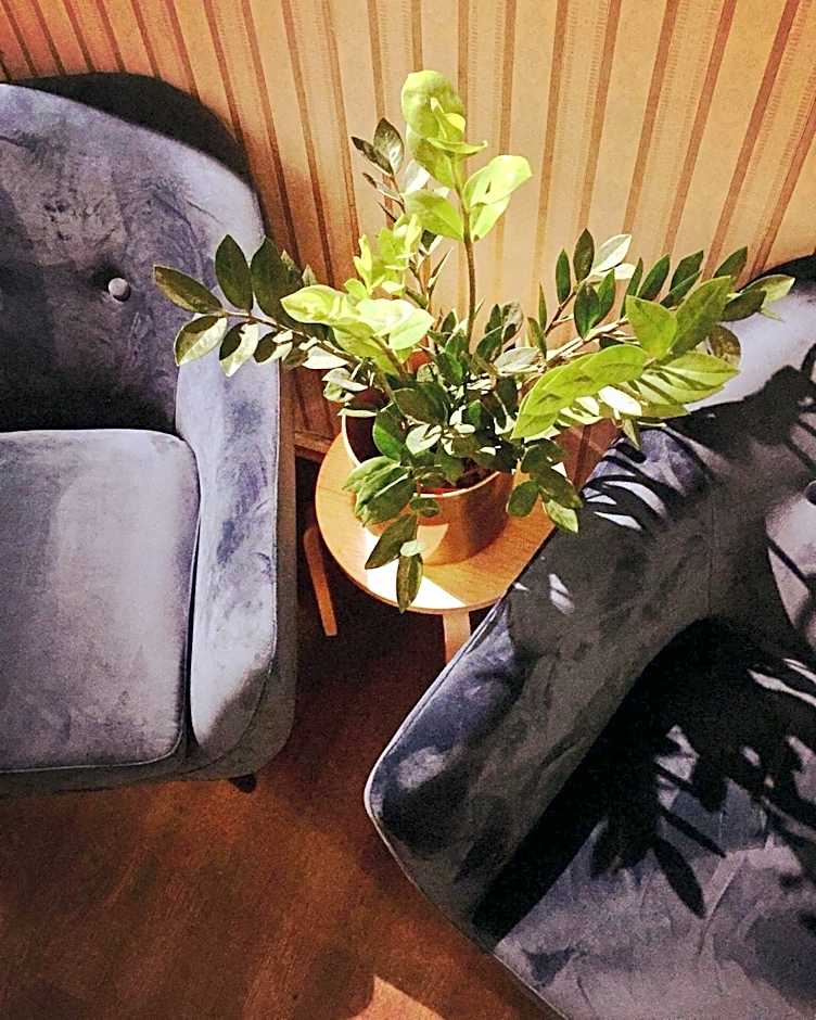 Hostel Diana Park