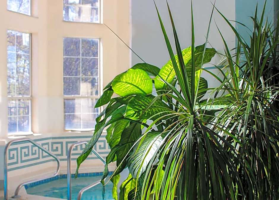 Senator Inn & Spa