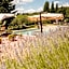 Agriturismo Fonte De Medici