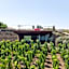 Tenuta di Castellaro Winery & Resort
