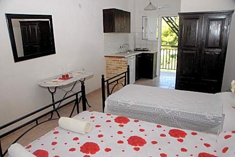 Studio with Terrace