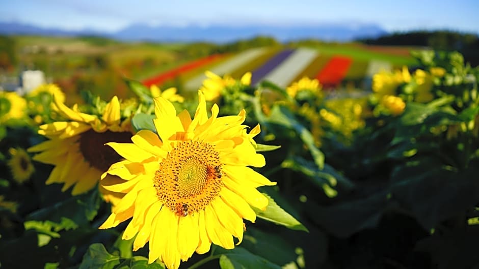 Furano Natulux Hotel