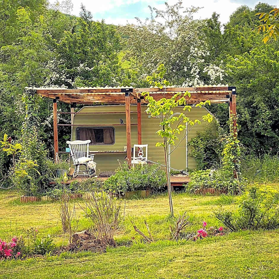 Silent Valley Bed & Breakfast