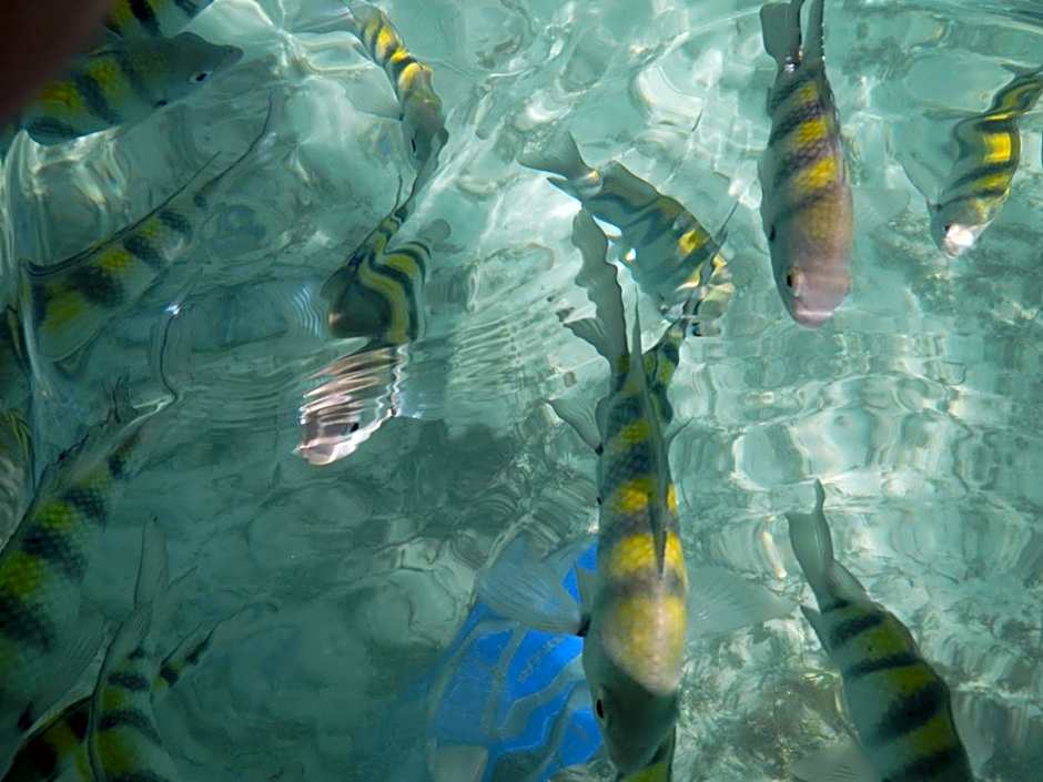 Orient Bay Beach Studio