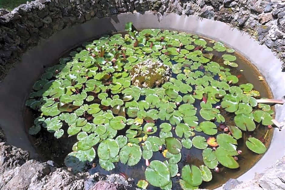 Terrazza Fiorita Napoli