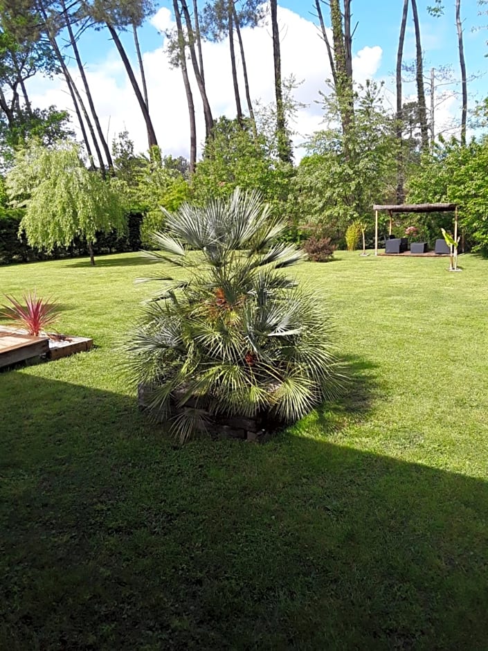 Chambre d'hôtes les Iris à Mios sur le Bassin d'Arcachon