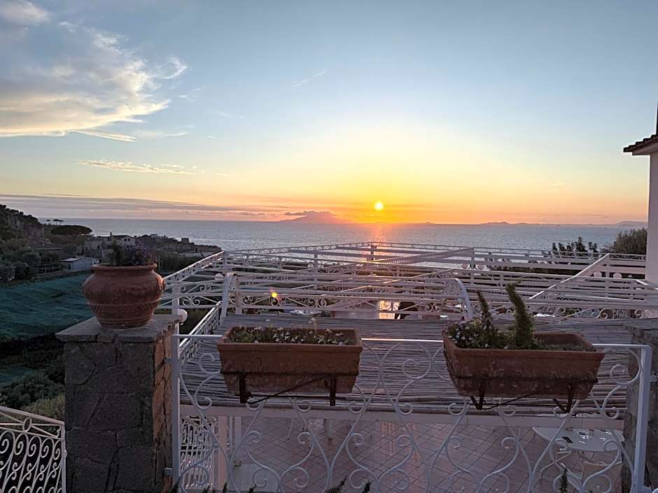 Hotel Dania