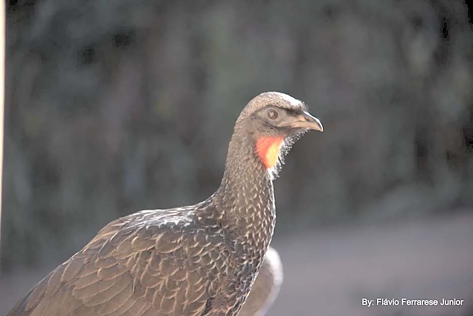 Pousada Vale do Horizonte