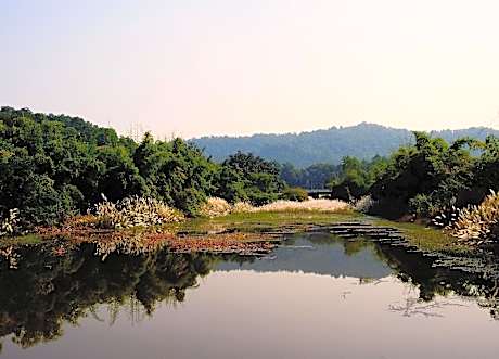 The Tiger Valley Resort