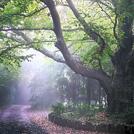 Winterton Country Lodge @ Rose Cottage
