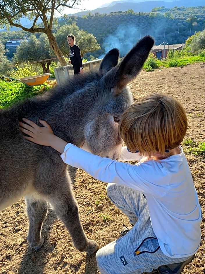 Casa El Descanso Del Peregrino