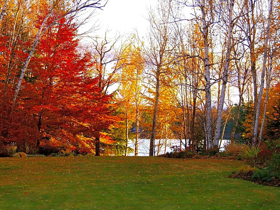 Wilson Lake Inn