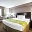 Econo Lodge Birmingham - Hoover