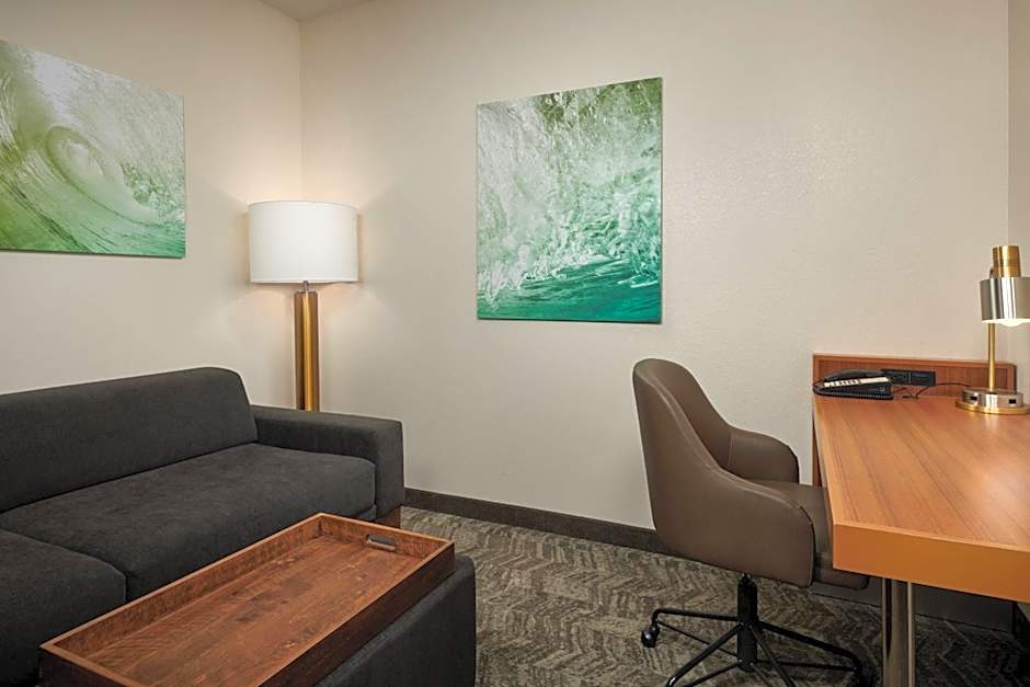SpringHill Suites by Marriott Baton Rouge North/Airport