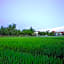 The Awandari Villas Seminyak