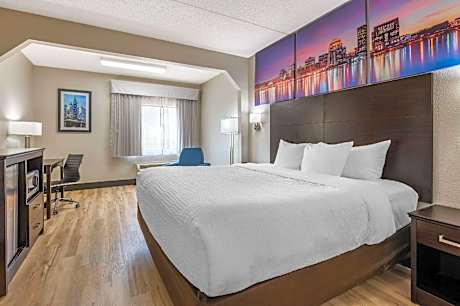 1 King Bed, Nonsmoking, Upgrade