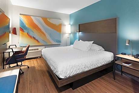 1 King Bed
