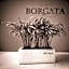 Borgata