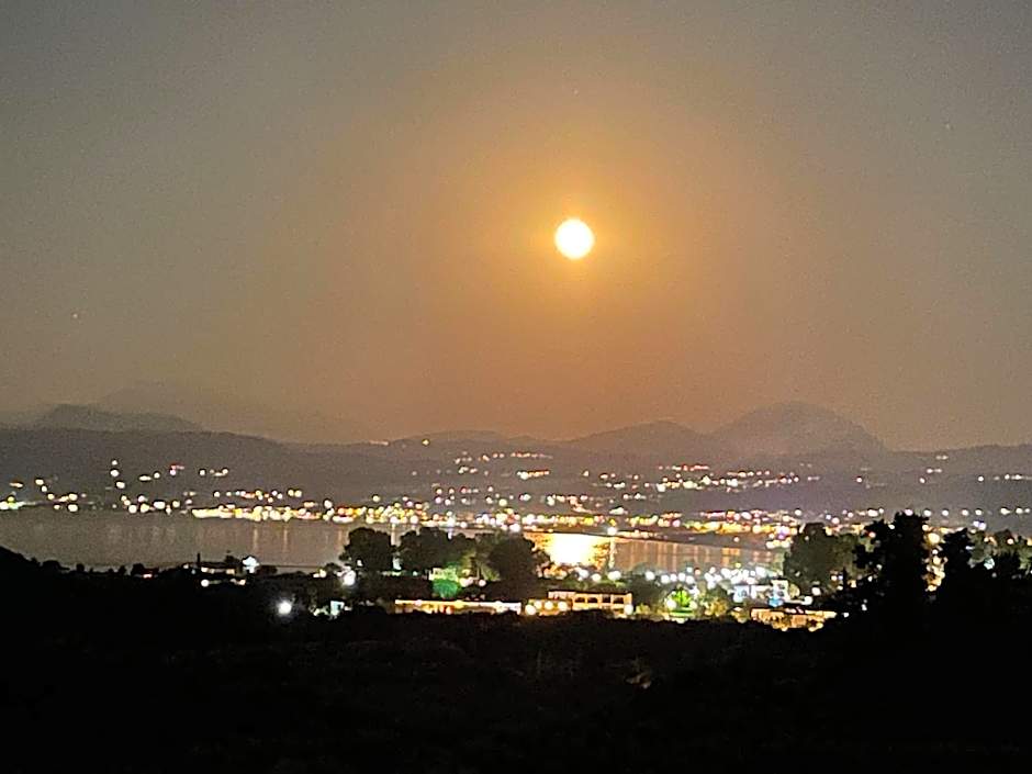 PROFILIO Apartments & Studios