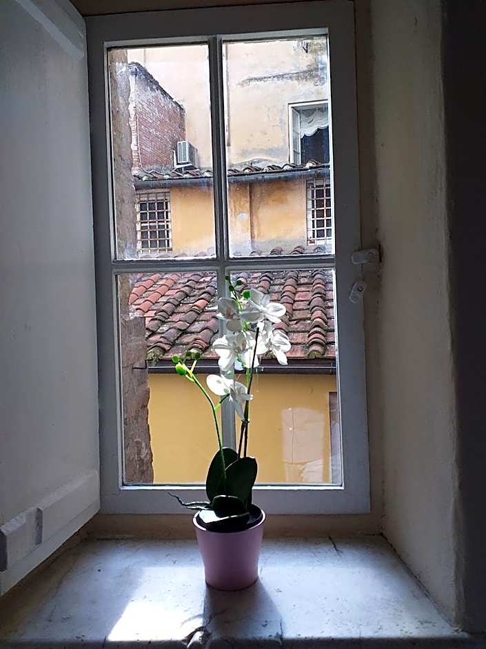 LUCCA CHARM