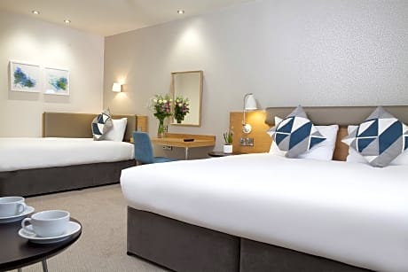 Family Room Standard