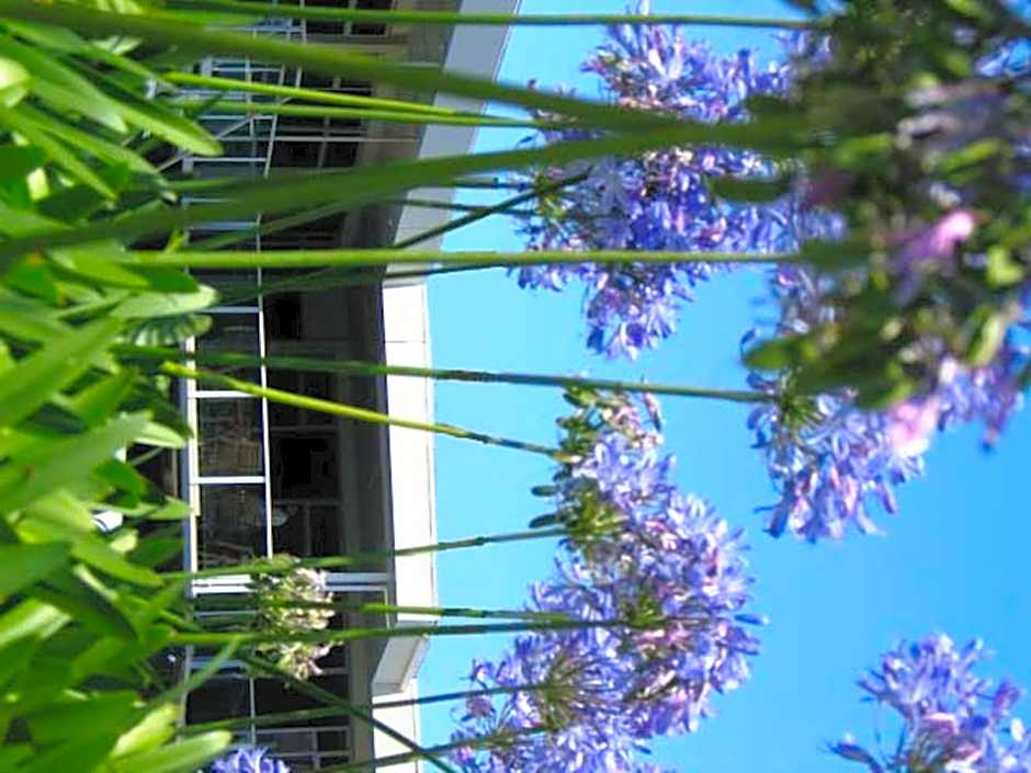 City Central Motel Apartments