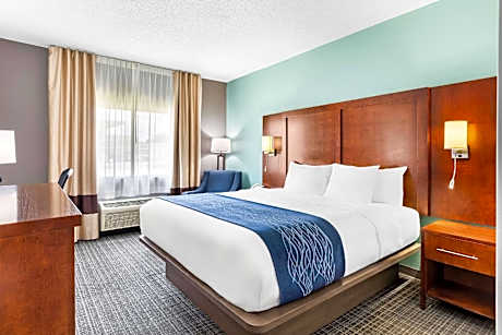 1 King Bed, Business Room, Nonsmoking, Upgrade