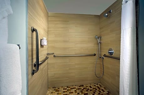 Accessible - 1 King, Mobility Accessible, Communication Assistance, Roll In Shower
