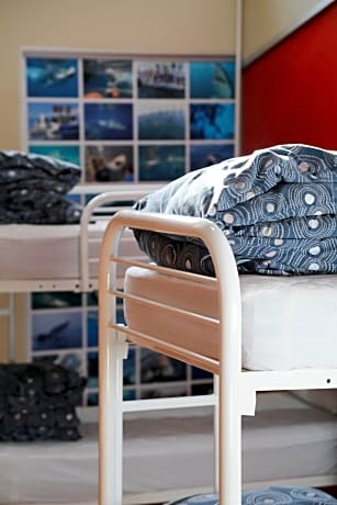 Bed in 4-Bed Mixed Dormitory Room