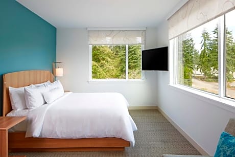 1 Bedroom Executive Suite, 1 King, Sofa bed, City view