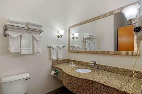 Standard King Suite - Non-Smoking