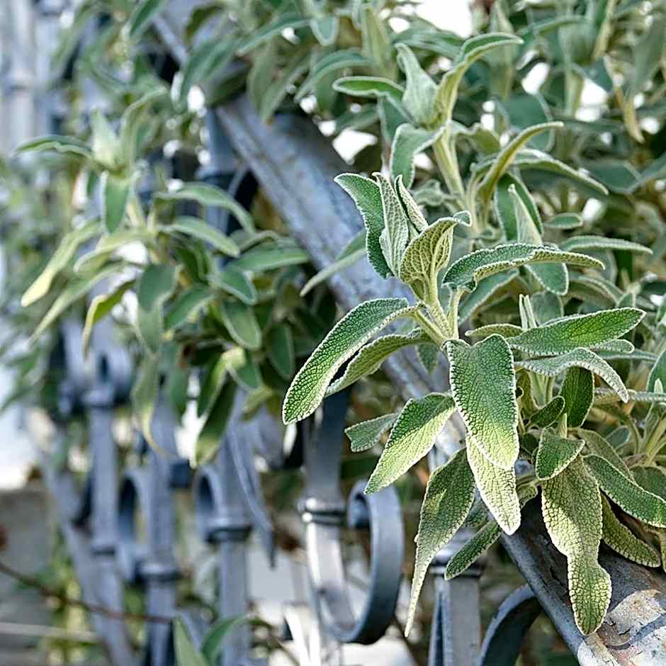 Seminar-Hotel Rigi am See