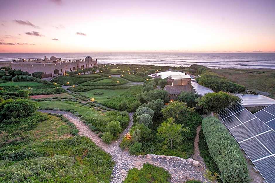 Dar Danse, the Bubble on the Beach