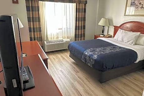 1 King Bed Non-Smoking