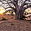 Baobab Tented Camp