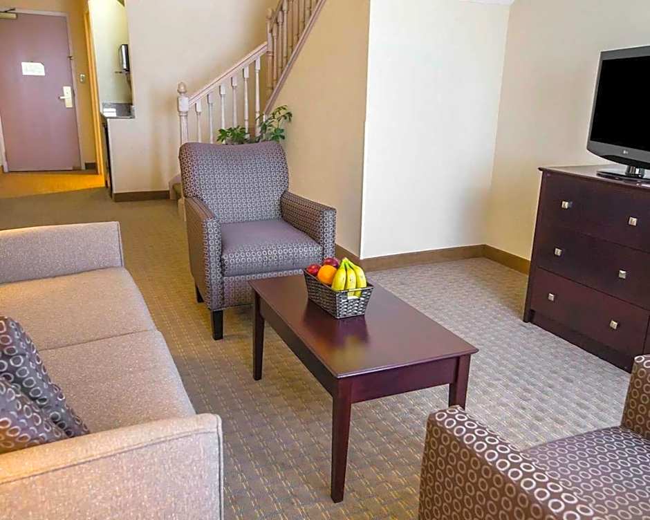 Comfort Suites University Area