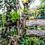 Pondok Nyoman Bedugul