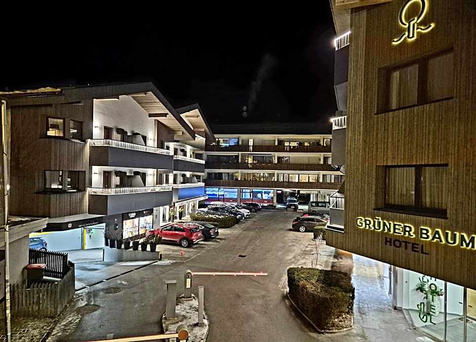 Hotel Grüner Baum