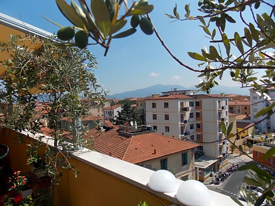 B&B Dei Cavalieri