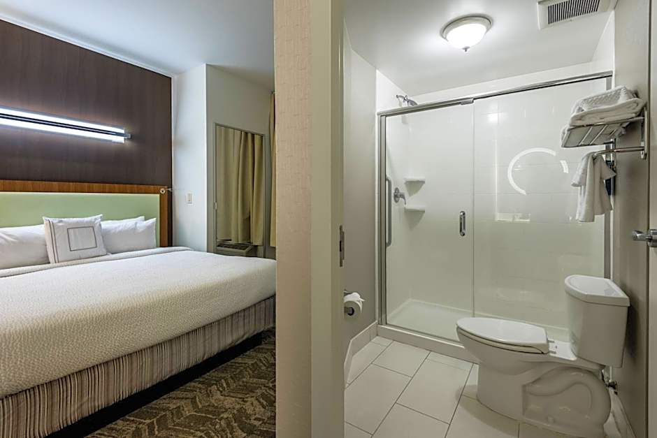 SpringHill Suites by Marriott Statesboro University Area