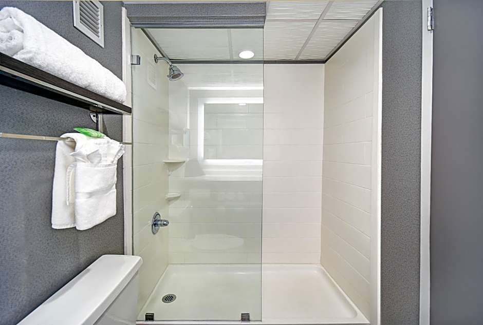 Holiday Inn - Memphis Downtown - Beale St. by IHG