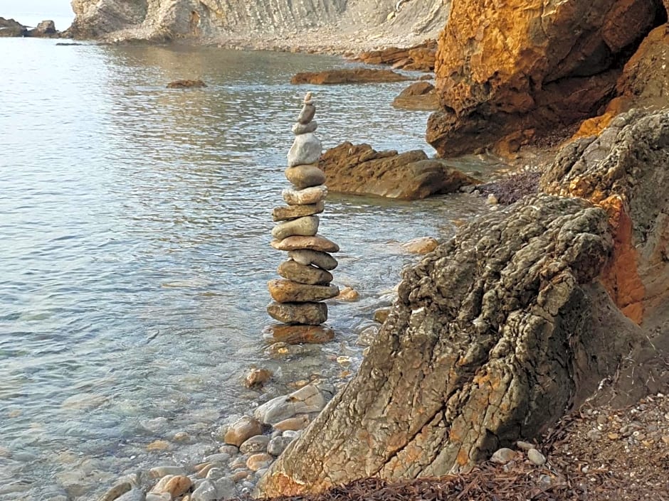 Les terrasses des Anthenors