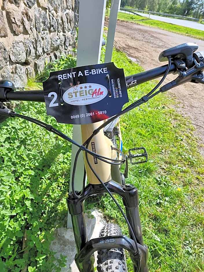 Steig-Alm Hotel Superior